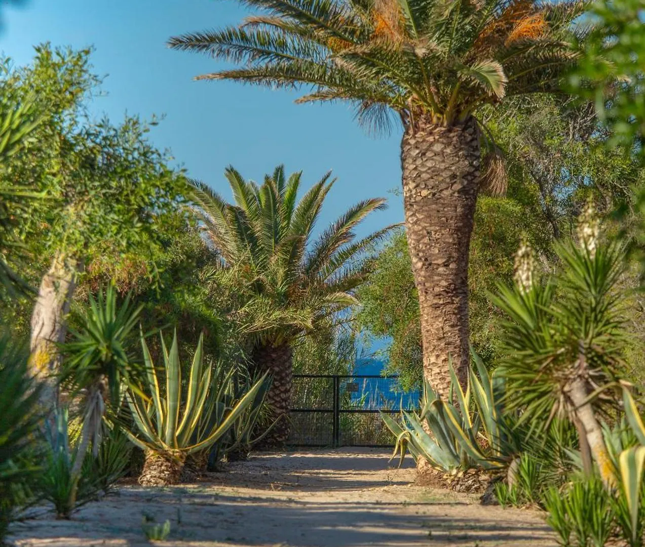 Casara Cinco - Hermosa Casa Con Vista Al Mar Y Acceso Privado A La Playa Zahora Spanien
